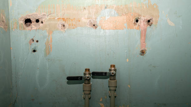 Best Flood damage cleanup  in San Saba, TX