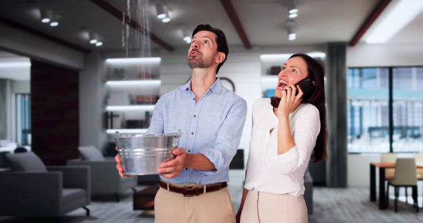 Best Water damage repair service  in San Saba, TX